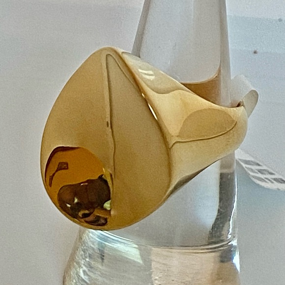 Mods AL Massimo Ring! 7 - Picture 12 of 13